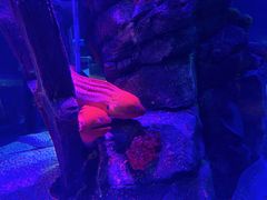 -沈阳海洋探索中心