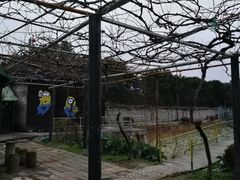 -舟山甬东休闲鱼庄(农家乐)
