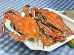 -魚當家