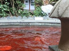 -杭州第一世界大酒店·云曼温泉