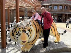 -上海野生动物园老虎餐厅