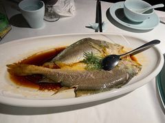 -羲和雅苑•北京烤鸭(陆家嘴中心店)