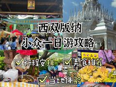 -曼丢傣家古寨