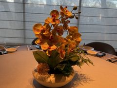 -花家怡园(四合院总店)