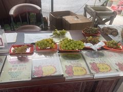 -马陆小张葡萄园农家乐