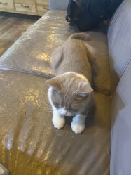 -青木造型HAIR·あおき髪を刈る潮人店