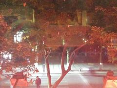 -王城醋血鸭老店