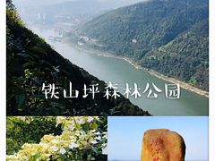 -铁山坪森林公园