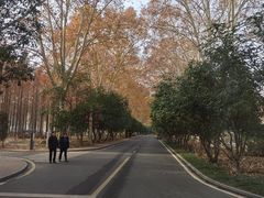 -河南省黄河迎宾馆