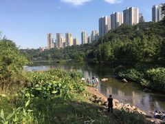 -重庆彩云湖湿地公园