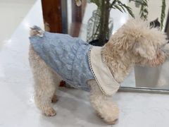 -共舞时光猫咖·狗咖(新街口店)