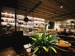-Apollo·西班牙小酒馆(安福路店)