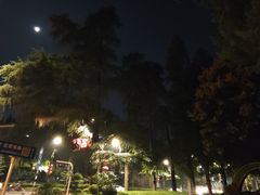 -北极阁公园