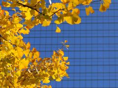 -西北湖绿化广场