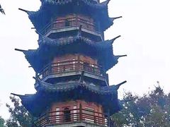 -上海佘山国家森林公园西佘山园