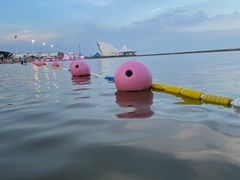 -碧海金沙