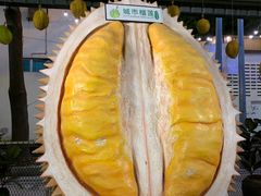 -都念榴莲·城市榴莲