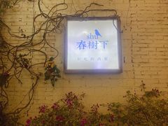 -春树下·树屋花房西餐厅(罍街AS1980店)