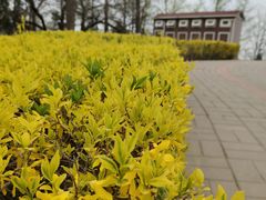 -莲花池公园