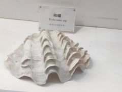 -重庆欢乐海底世界
