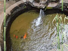 -竹泉村旅游度假区