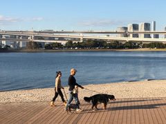 -台场海滨公园船码头