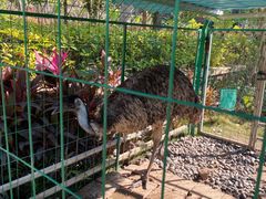 -西双版纳融创皇冠假日度假酒店