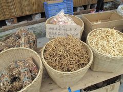 -龙潭生态旅游度假区