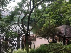 -重庆彩云湖湿地公园