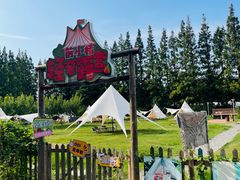 -前小桔亲子创意农场·草莓采摘·露营烧烤