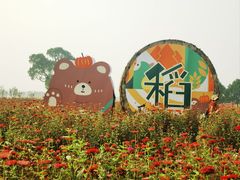 -嘉北郊野公园