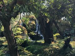 -Chom Cafe and Restaurant