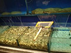 水产区-北李妈妈菜·海肠捞饭(高新万达店)