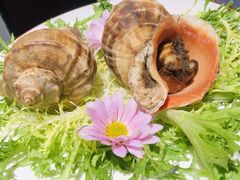 -恬阿姨庭院餐厅·生日宴