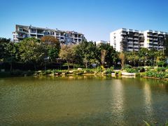 -光明港公园