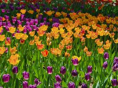 -长春公园(普阳街道)