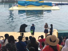 -秦皇岛乐岛海洋王国