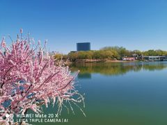 -大兴滨河森林公园