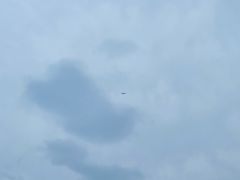 -西湖外事游船(湖滨二公园外事游船码头)