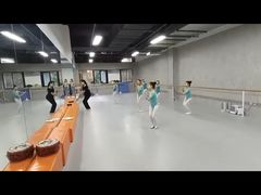 -舞蕾舞蹈(特长生校区)