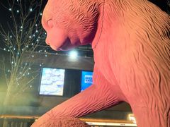 -西安电影制片厂