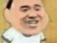 -momokira米努特·德文卷毛猫·棉花面纱犬