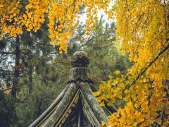 -惠山古镇·寄畅园