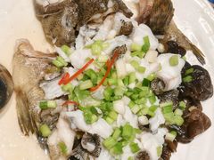 -新兴·金羊座·粤菜点心(乐峰店)