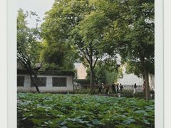 -绍兴鲁迅故里·沈园景区