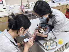 -瑞鹏宠物医院·骨外科·心肾科·肿瘤科(九亭店)