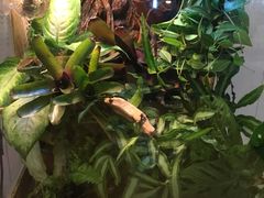 -Rabbit Cafe私房西餐甜点咖啡(栖霞路店)