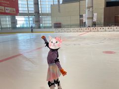 -成都冰纷万象滑冰场