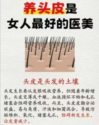 -Bollins波林丝•专研护发中心