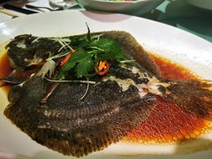 清蒸多宝鱼-旺顺阁海鲜广场(亚运村店)